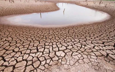 Sindh demands urgent CCI meeting to address water shortage