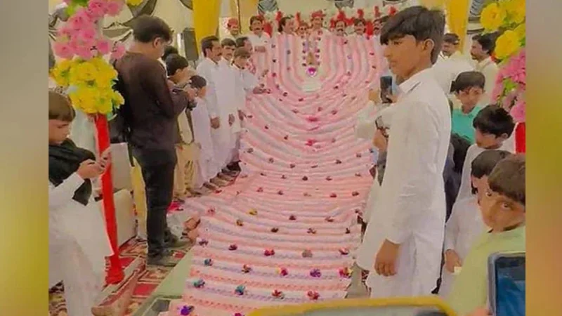 Viral Video