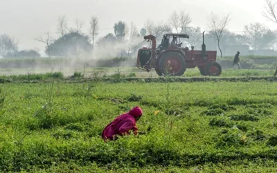 Punjab Kisan Card Online Registration 2024: Check all details