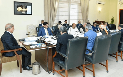 National Economic Council headed by PM Shehbaz formed