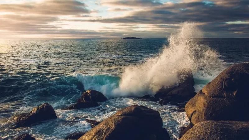 World Ocean Day