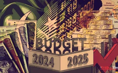 Budget 2024-25: Govt Ends Tax Exemption For Expensive Electric Vehicles