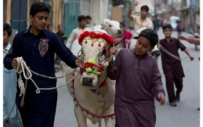 Qasai Rates in Karachi for Eid-ul-Adha 2024