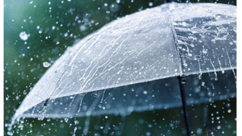 Pakistan Monsoon Forecast: When to Expect Rain?