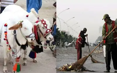 People requested to ensure safe disposal of offal