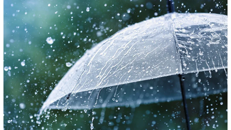 Karachi Rain Forecast: Substantial Rainfall Anticipated in July 2024