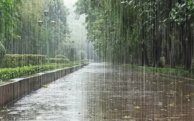 Rains, gusty winds expected in Peshawar, Khyber Pakhtunkhwa