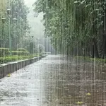 Rains, gusty winds expected in Peshawar, Khyber Pakhtunkhwa