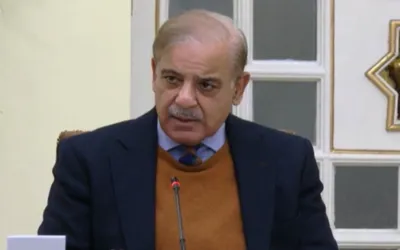 PM calls for special focus on promotion of alternative energy