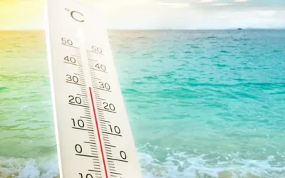 UAE temperatures cross 50°C this week
