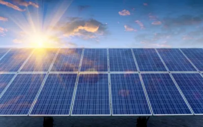 Best Solar Panels for 2024: See PV Module Index Report