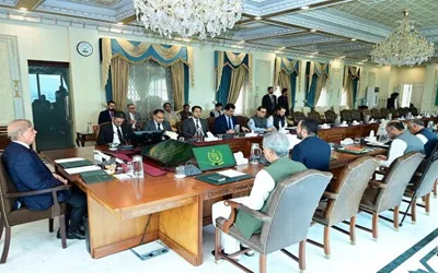 PM Shehbaz stresses collective efforts for national prosperity