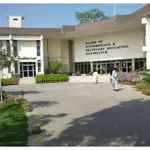BISE Bahawalpur Matric Results 2024: Key Dates and Details