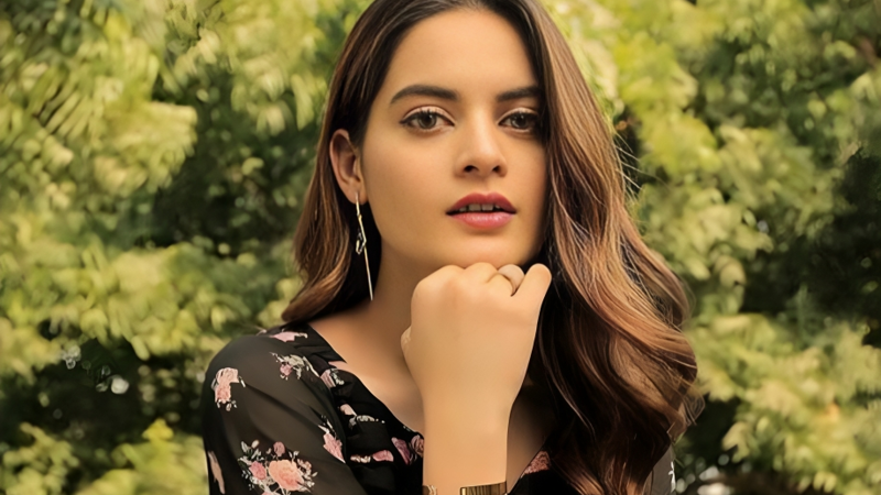 Minal Khan reacts to a fan’s marriage proposal on social media
