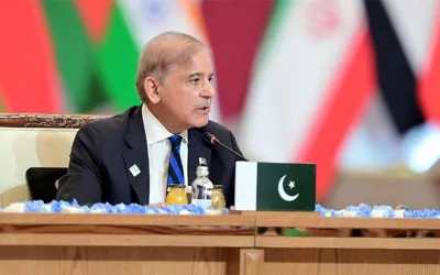 PM Shehbaz demands Israel’s accountability for war crimes in Palestine