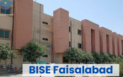 How to Check Faisalabad board Matric result 2024! Check here