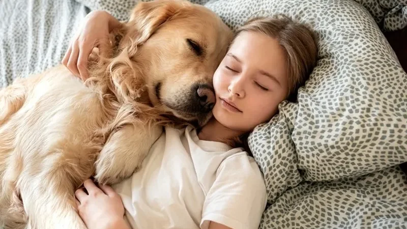 pets