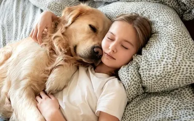 New study raises concerns over sleeping with pets