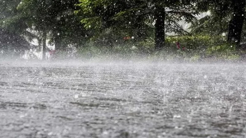 Surjani Town receives highest rainfall of 58.2mm as 390 KE feeders go tripped