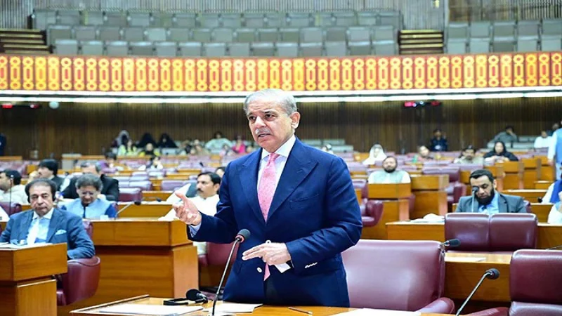 Shehbaz tells NA no decision on wheat export yet
