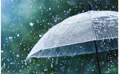Lahore, Punjab weather update: More rains, gusty winds expected!