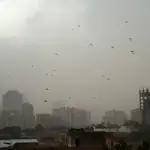 Light rain and dust storm likely in Karachi