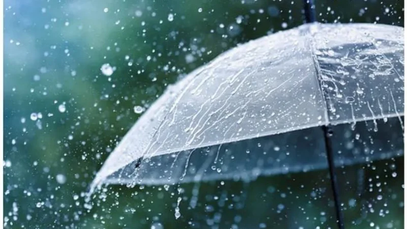 Lahore, Punjab weather update: Rains, Gusty Winds Expected!