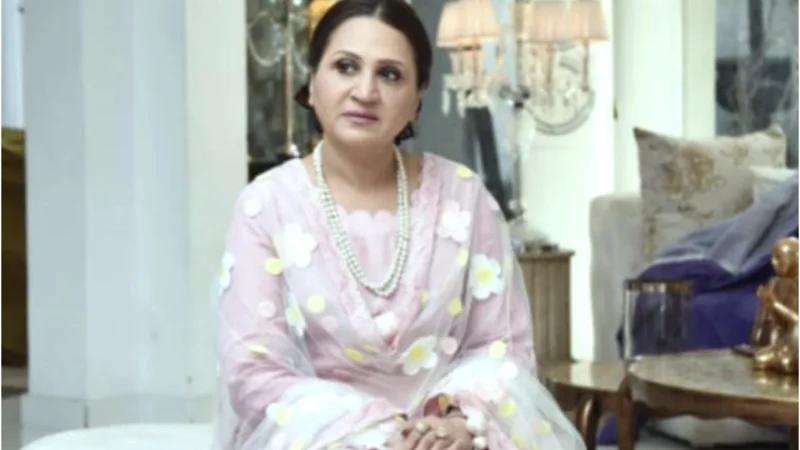 Bushra Ansari