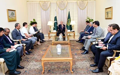 PM Shehbaz directs to provide facilities to Chinese companies