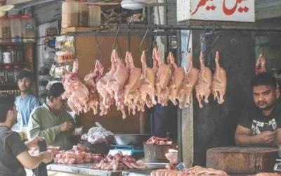 Chicken price drop in Pakistan