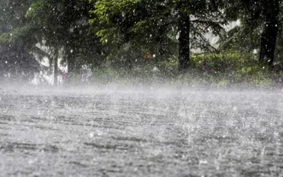 More monsoon rains likely in Lahore, Punjab