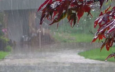 More rains likely in Peshawar, Khyber Pakhtunkhwa