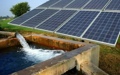Punjab introduces ‘agriculture tube wells solarization project’; details here