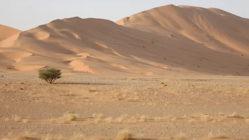 Lost in Rub' al Khali: UAE man found alive after 3 days in Saudi desert