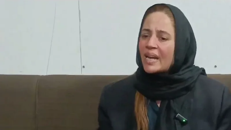 Zartaj Gul granted transit bail by PHC