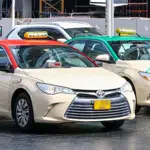 Dubai taxis go inclusive: New service empowers people of determination