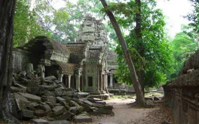 Massive ancient city found underneath the forest of Amazon