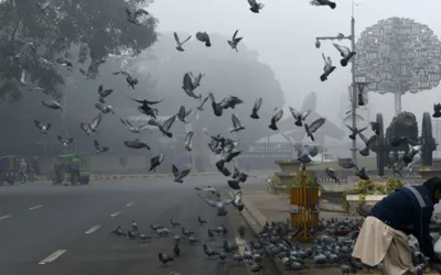 Lahore, Punjab Weather update today