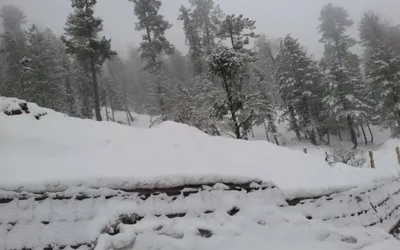 Today latest weather update Peshawar, Khyber-Pakhtunkhwa