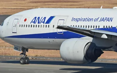 Japan flight Forced to return as 'Drunk' passenger bites crew member