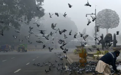 Latest weather update today Lahore, Punjab