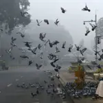 Latest weather update today Lahore, Punjab