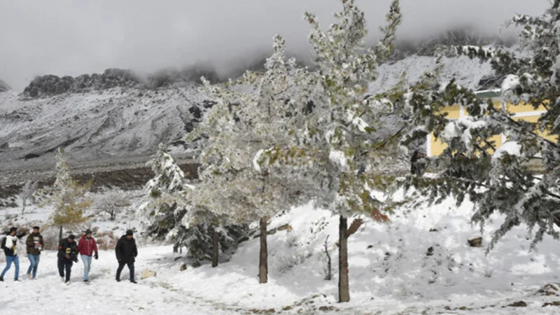 Quetta weather update