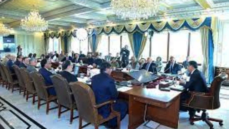 Federal cabinet rejects plan to collect Rs 600b from power division