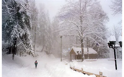 Peshawar, Khyber Pakhtunkhwa expecting more Rain & Snowfall