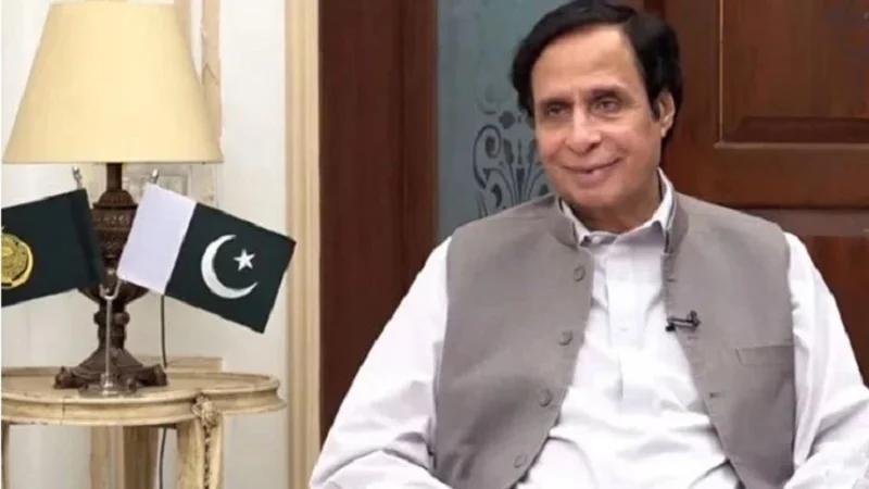 LHC dismisses Elahi’s plea seeking 'Peacock' as election symbol