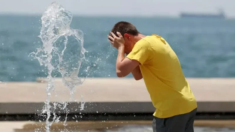 WMO forecasts strong El Niño as global heat risks rise