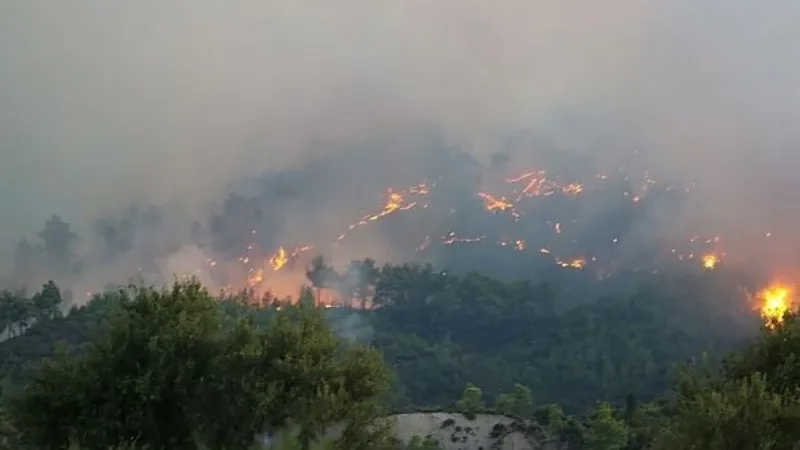 Raging Antalya wildfire ravages homes, triggers evacuations in Türkiye