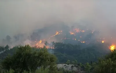 Raging Antalya wildfire ravages homes, triggers evacuations in Turkey