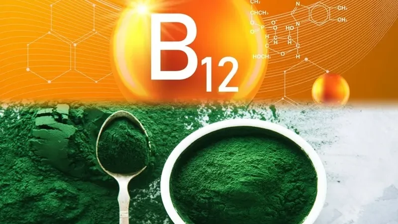 Scientists supercharge 'Spirulina' with beef-level active vitamin B12